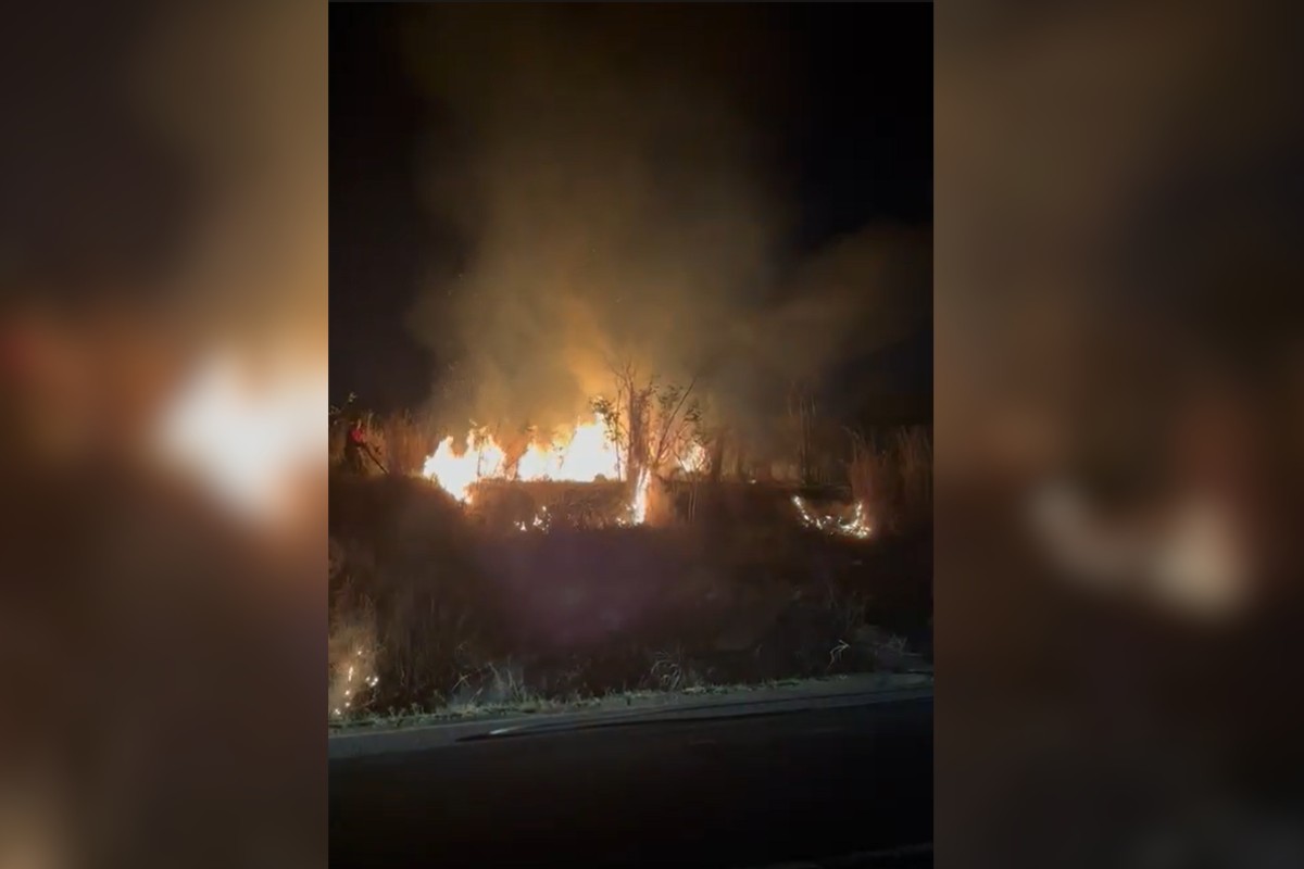 Homem é preso após ser filmado colocando fogo em área de mata seca, em Presidente Prudente