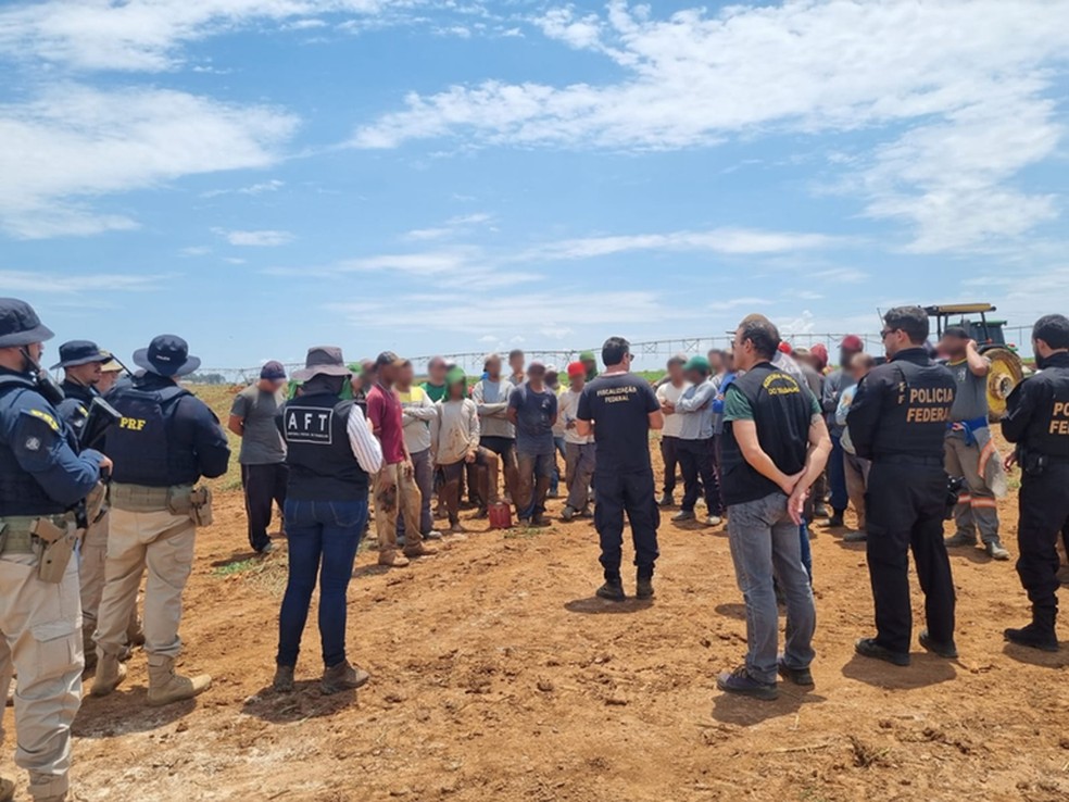 Ministério do Trabalho resgata trabalhadores em condições análogas à escravidão em Goiás — Foto: Divulgação/MTE