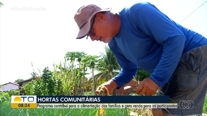 Hortas comunitárias de Palmas garantem renda para famílias participantes do programa