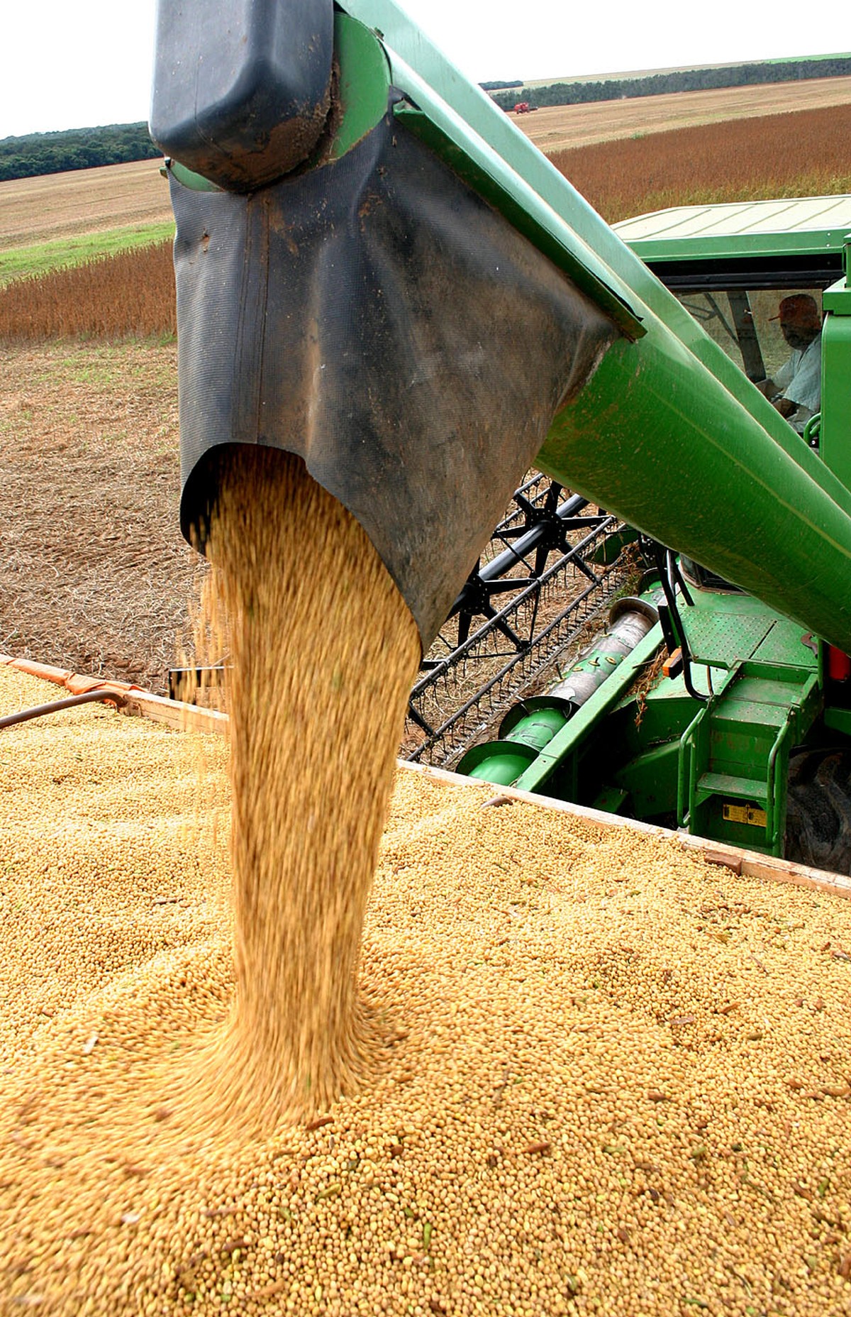 MT podría superar a Argentina en producción de granos, destaca Imea |  Mato Grosso