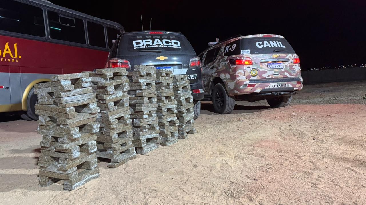 Homens são presos com 250 kg de supermaconha em ônibus no Sul do Piauí