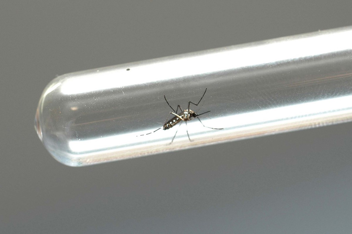 Ministério da Saúde confirma primeira morte por dengue do ano em Rondônia