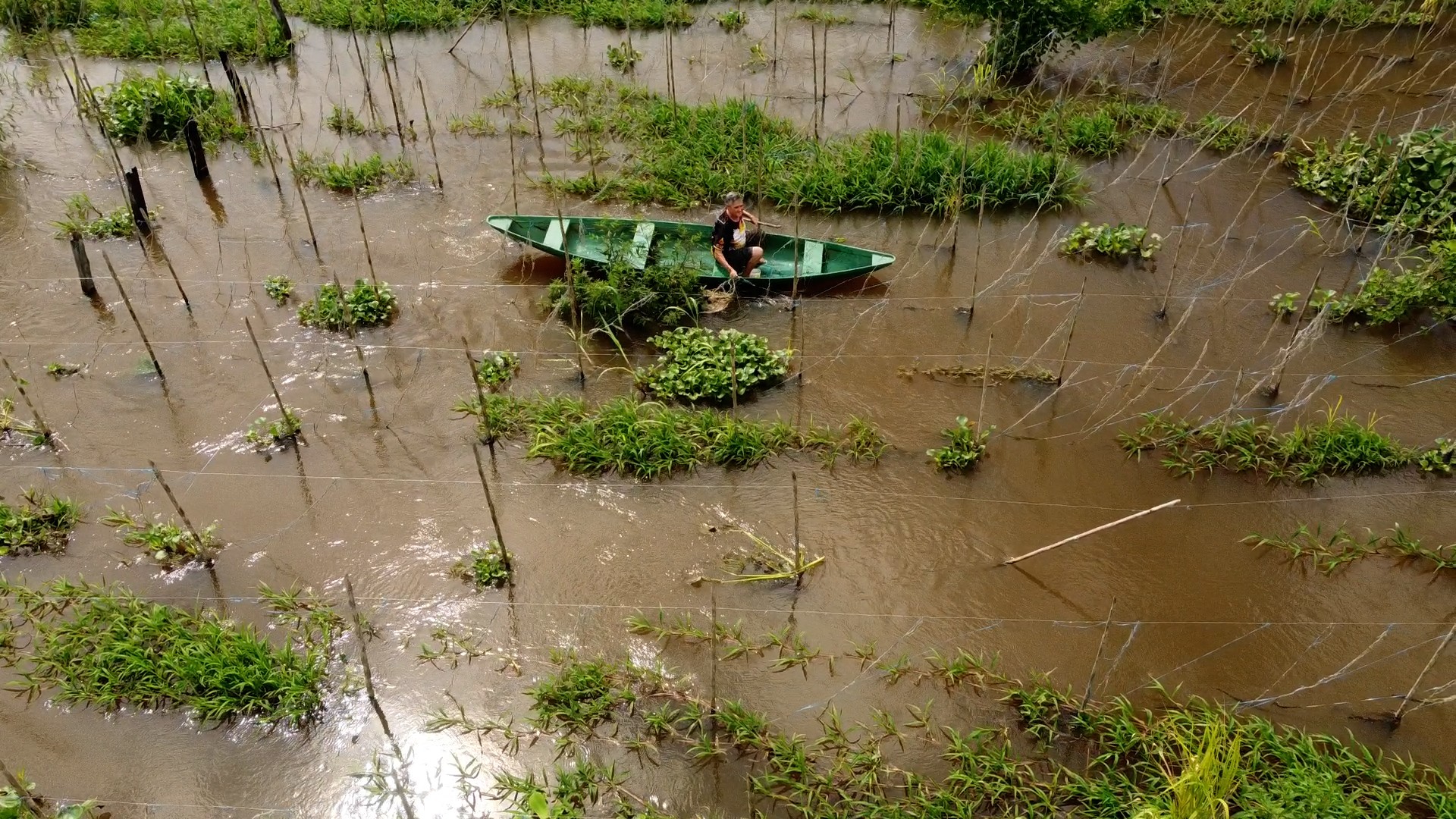 Cheia do Rio Solimões alaga plantações e afeta vida de produtores rurais no AM