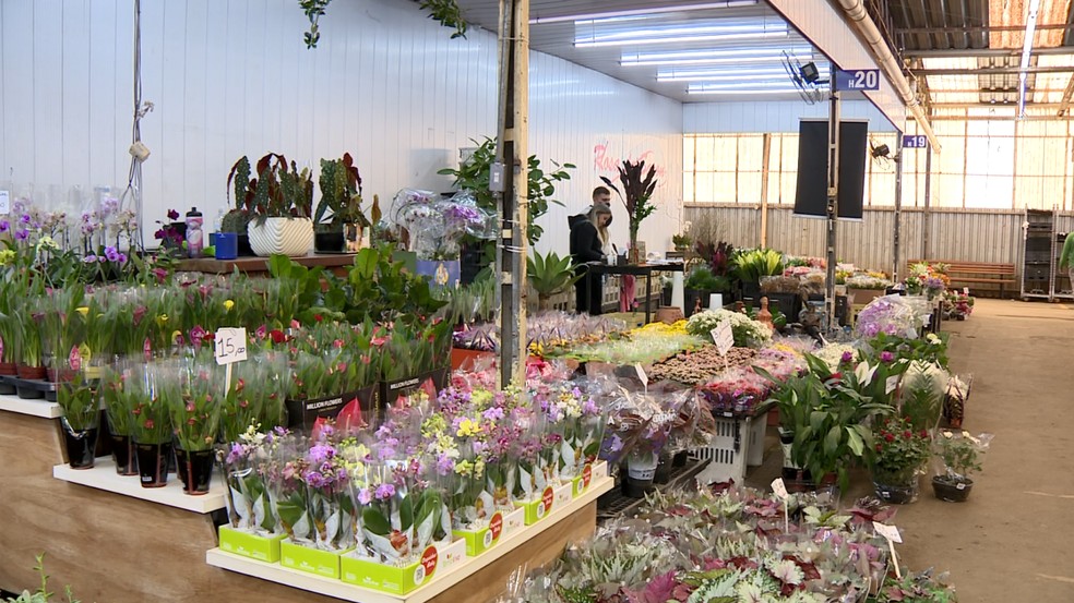 Mercado de flores da Ceasa Campinas — Foto: Reprodução/EPTV