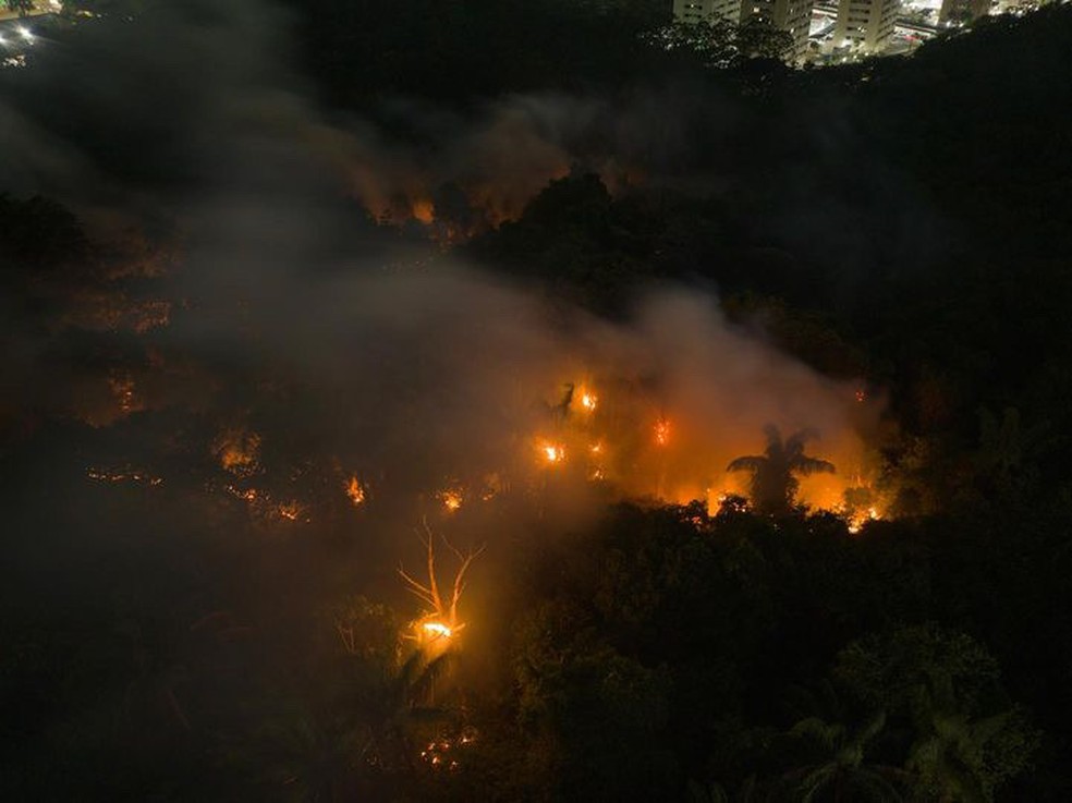 Incêndio atinge área de mata em Manaus — Foto: Chico Batata/Divulgação