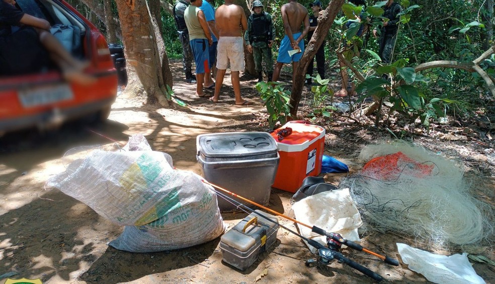 Fiscais desmontaram acampamento perto do lago de Palmas — Foto: Naturatins/Governo do Tocantins