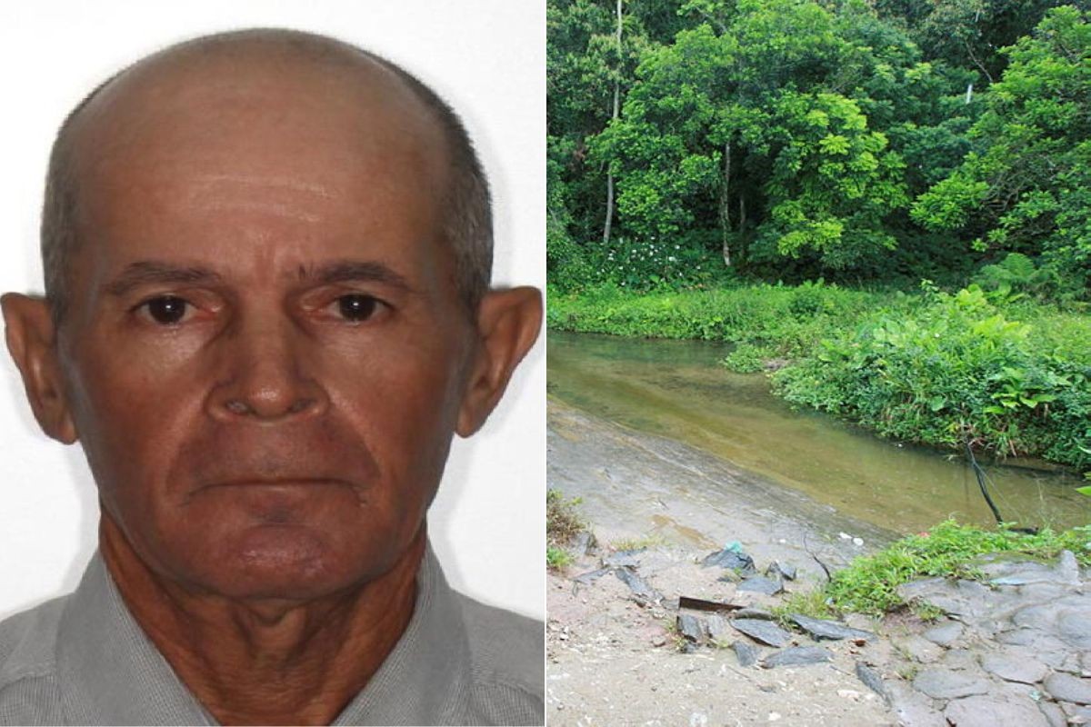 Idoso está desaparecido há uma semana após entrar em mata com cachorro no litoral de SP