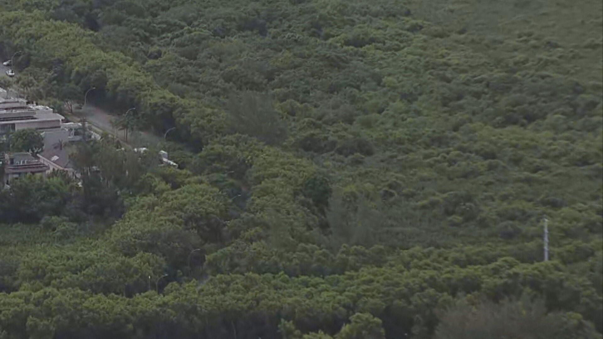 MP recomenda que prefeitura não autorize construção de condomínio que prevê corte de quase 900 árvores na Barra da Tijuca