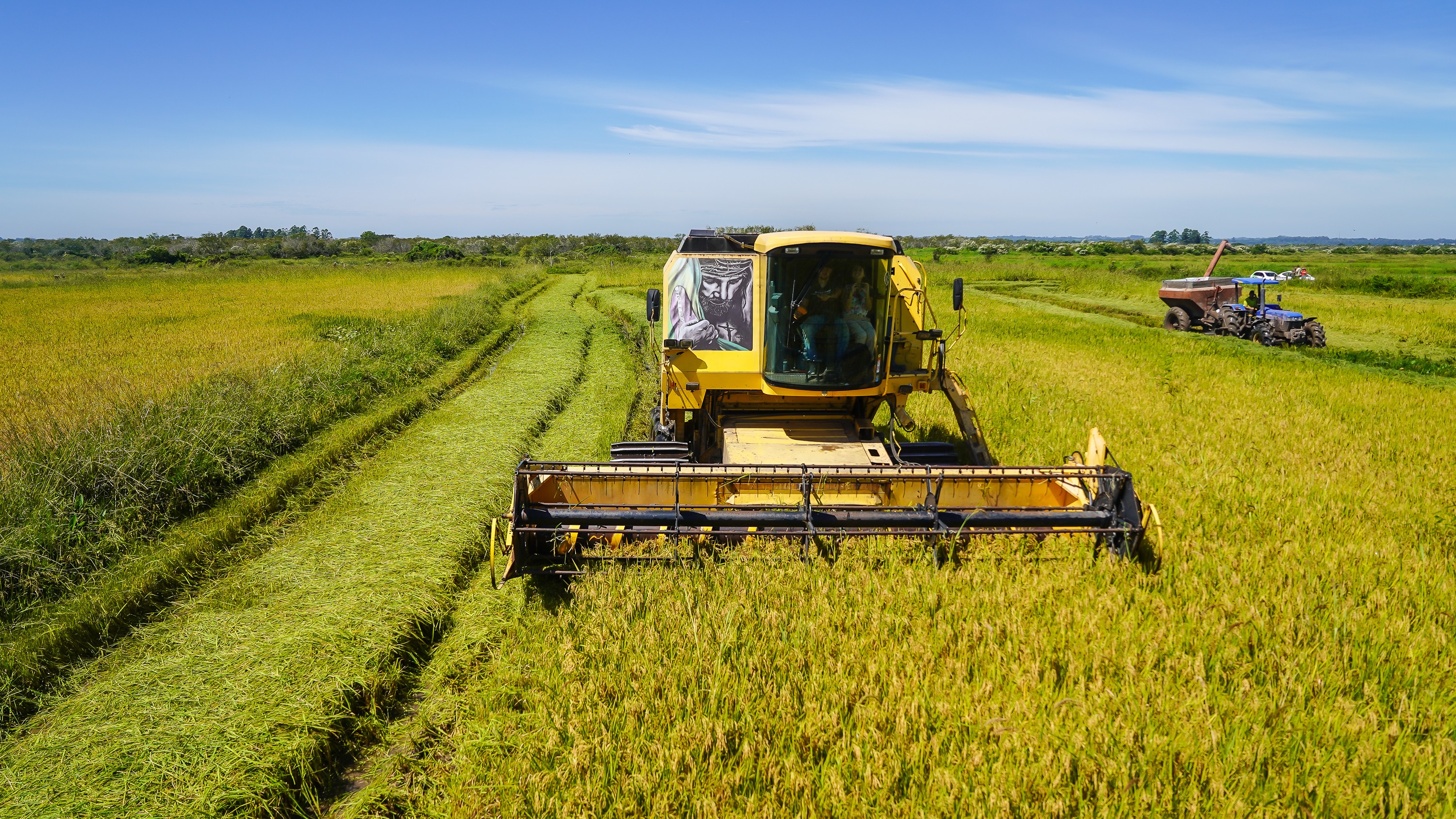 Tragdia no Rio Grande do Sul afeta produes de arroz e soja; entenda a importncia do estado no agro