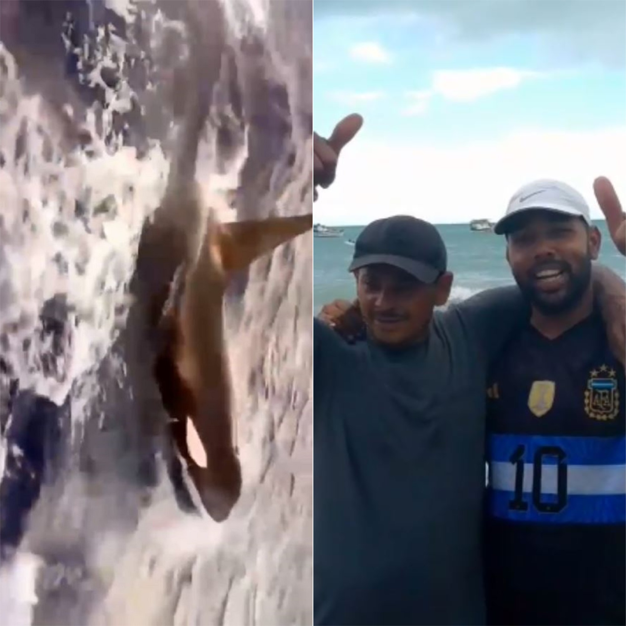 VÍDEO: Orca é flagrada por pescadores no mar do RN