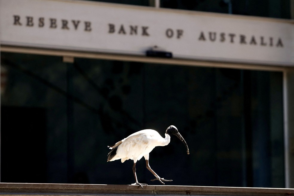 Um íbis empoleirado ao lado da sede do Banco da Reserva da Austrália , no centro de Sydney, Austrália — Foto: Daniel Munoz / Reuters