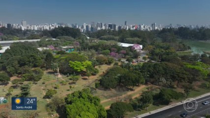 VÍDEOS: SP1 de quarta-feira, 21 de agosto de 2024