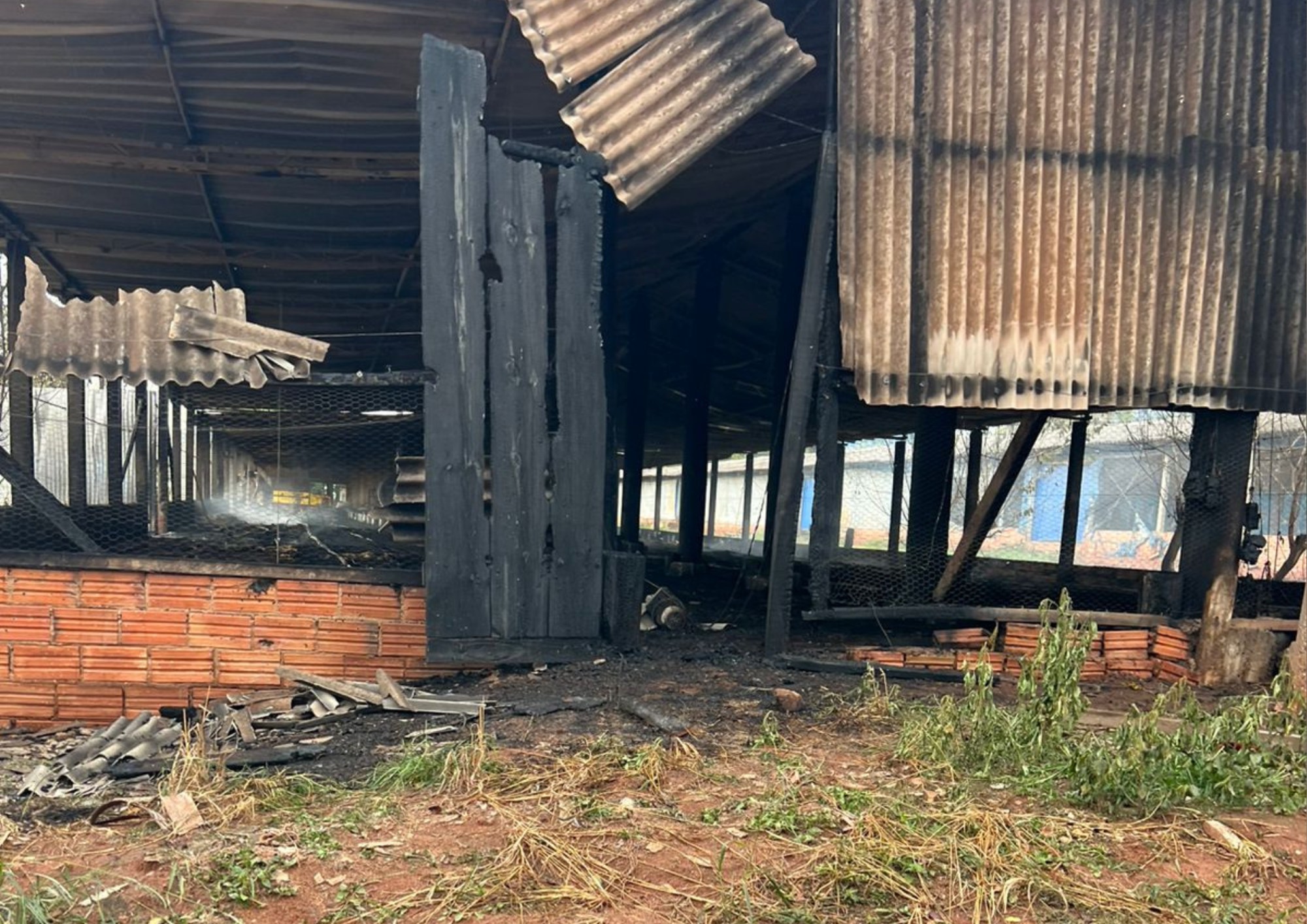Post Image