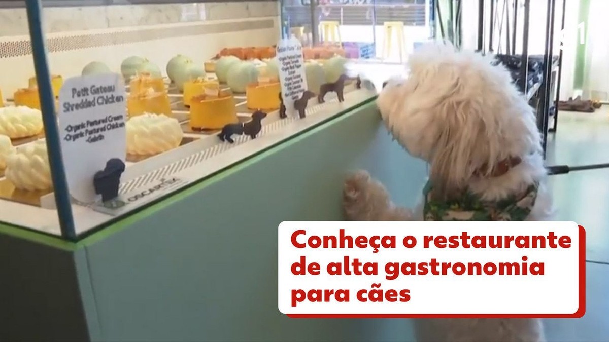 Cachorro quente: confira as diferenças do prato em outras localidades do  País - A Crítica de Campo Grande