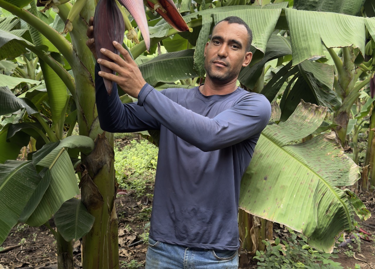 Pequenos agricultores da Amazônia Legal podem receber até R$ 28 mil por ações de preservação ambiental