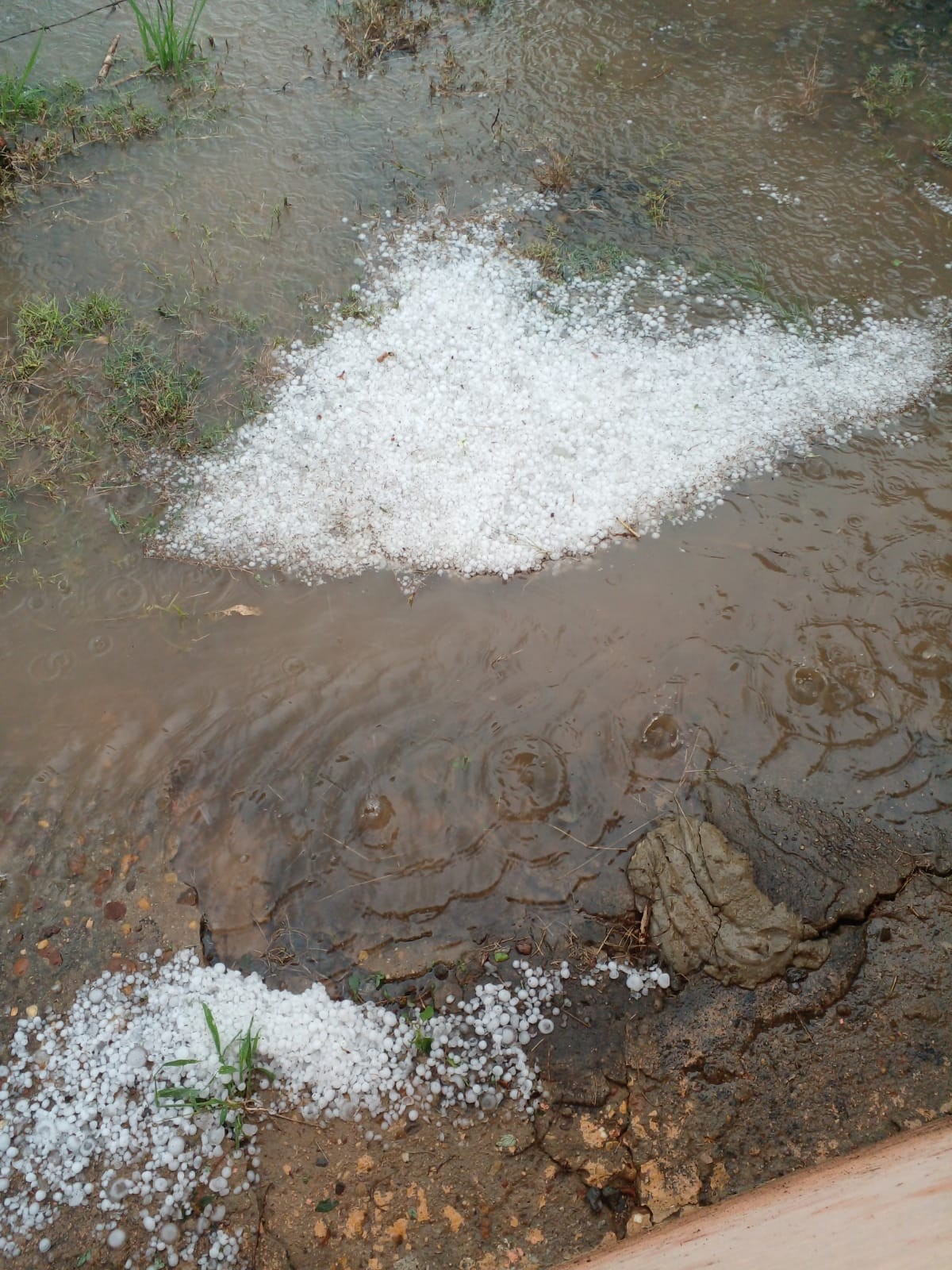 FOTOS: chuva de granizo assusta moradores nas regiões de Itapetininga e Sorocaba