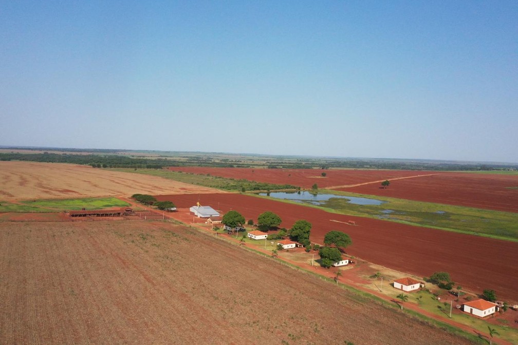 Fazenda Cerejo, em Angélica, é exemplo da sustentabilidade com integração entre culturas — Foto: Fazenda Cerejo