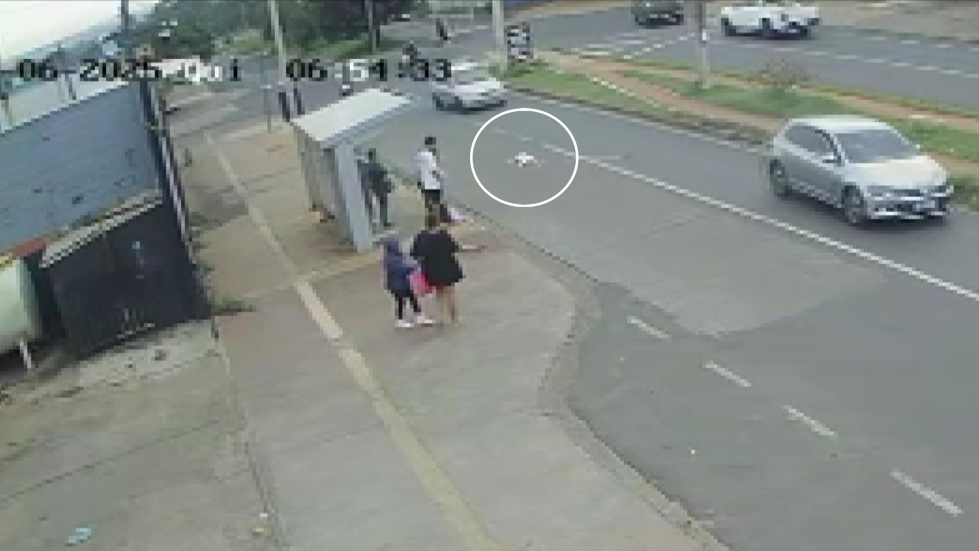 Motorista de ônibus alegou estar atrasado ao atropelar cão pela 2ª vez em Ribeirão Preto, diz protetora; animal morreu