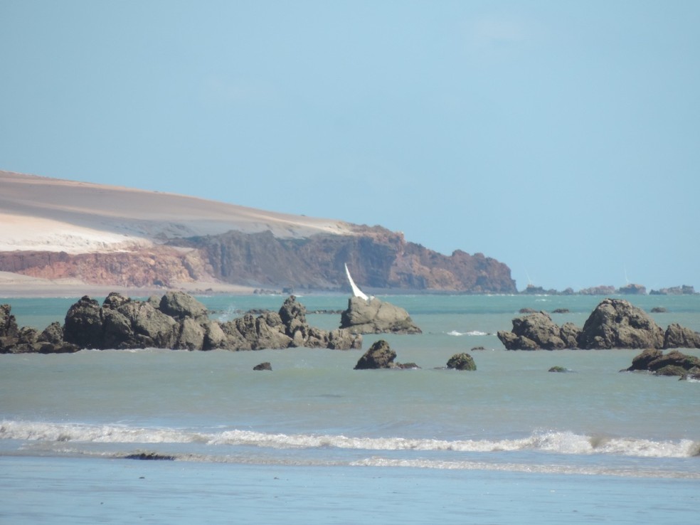 Icapuí terá área de proteção ambiental, no Ceará. — Foto: Sema/Divulgação