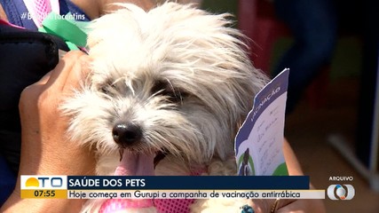 Campanha de vacinação antirrábica em animais é realizada em Gurupi
