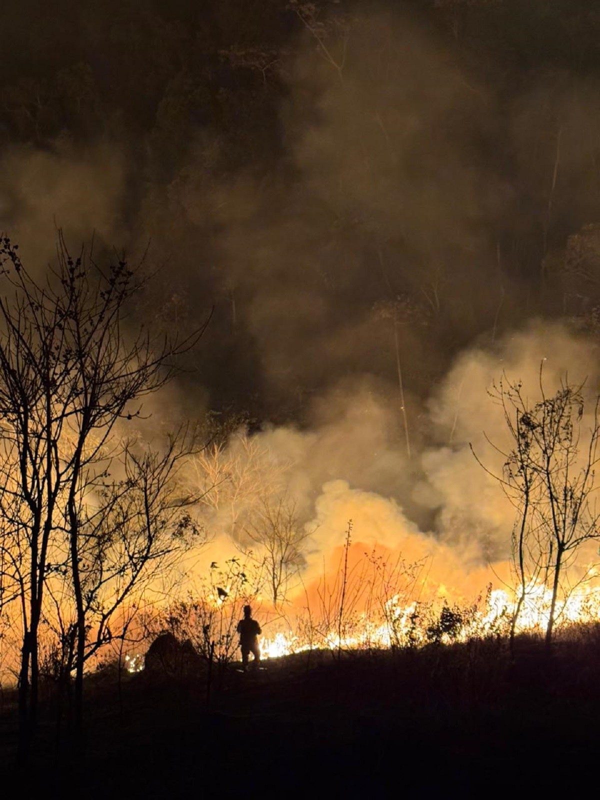 Incêndio destrói área equivalente a sete campos de futebol próxima à Mata do Krambeck, em Juiz de Fora