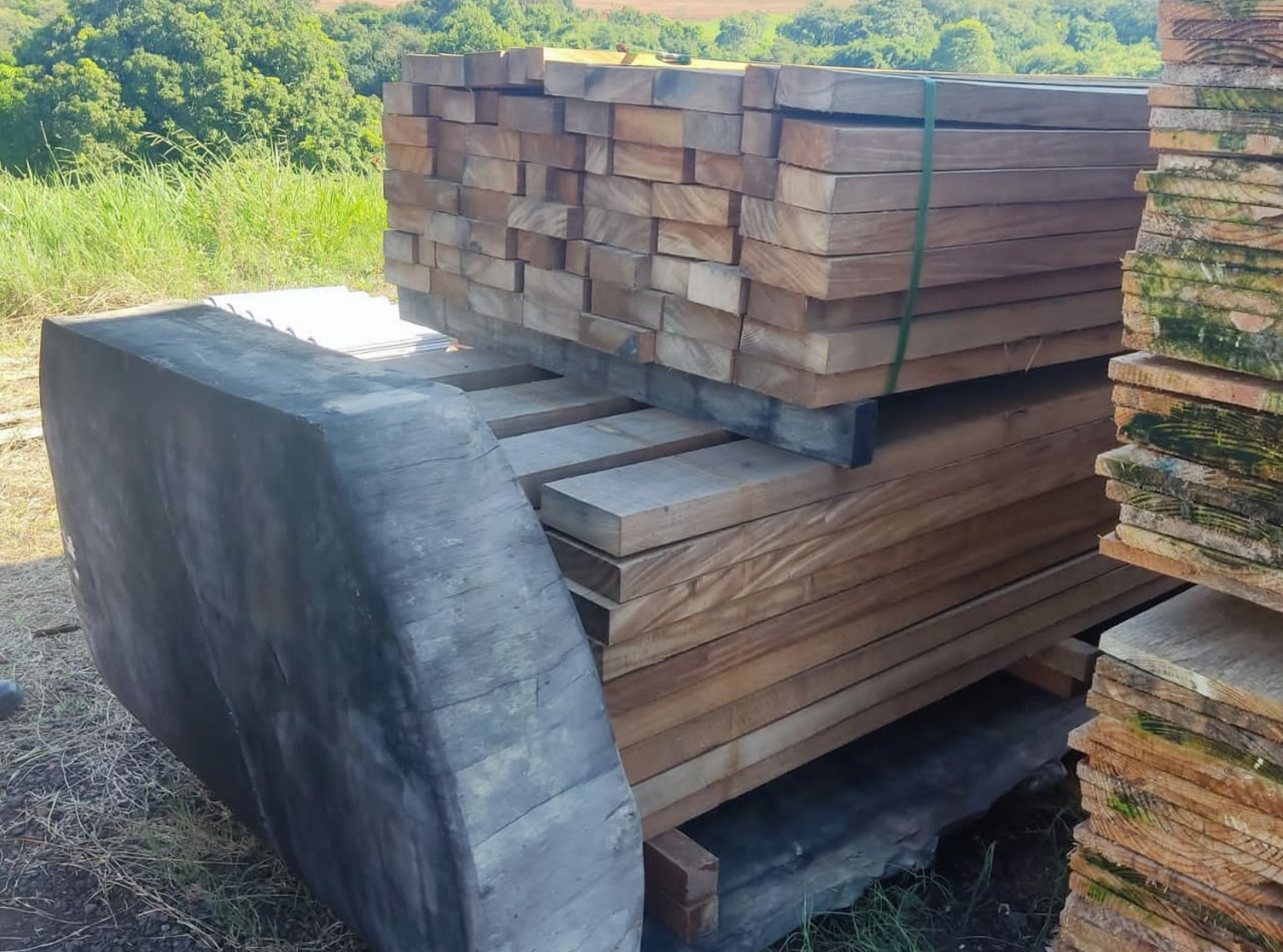Homem é multado em R$ 4,8 mil por vender madeiras sem documentação, em Regente Feijó