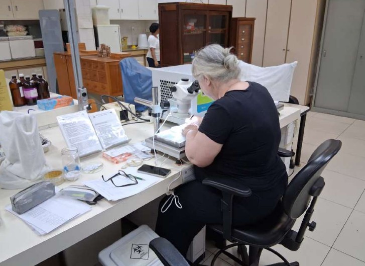 MP-SP pede suspensão da venda de prédio de pesquisa autorizada pelo governo de SP; entenda