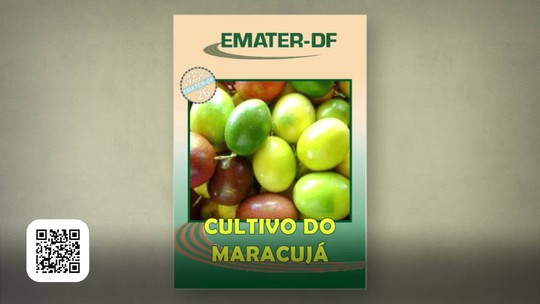Saiba como plantar maracujá - Programa: Globo Rural 