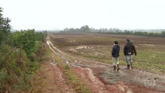 Perdas provocadas pelas enchentes no RS fazem com que agricultores pensem em desistir da atividade - Programa: Jornal Nacional 