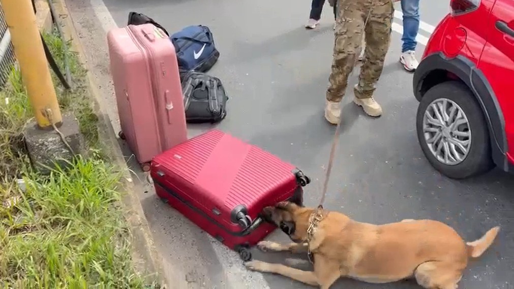 PF prende mulher com quatro fuzis e pistola na Via Dutra, no Sul do RJ