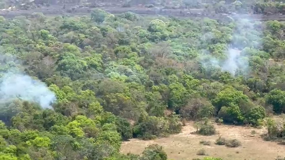 Focos de incêndio no Pantanal. — Foto: Reprodução