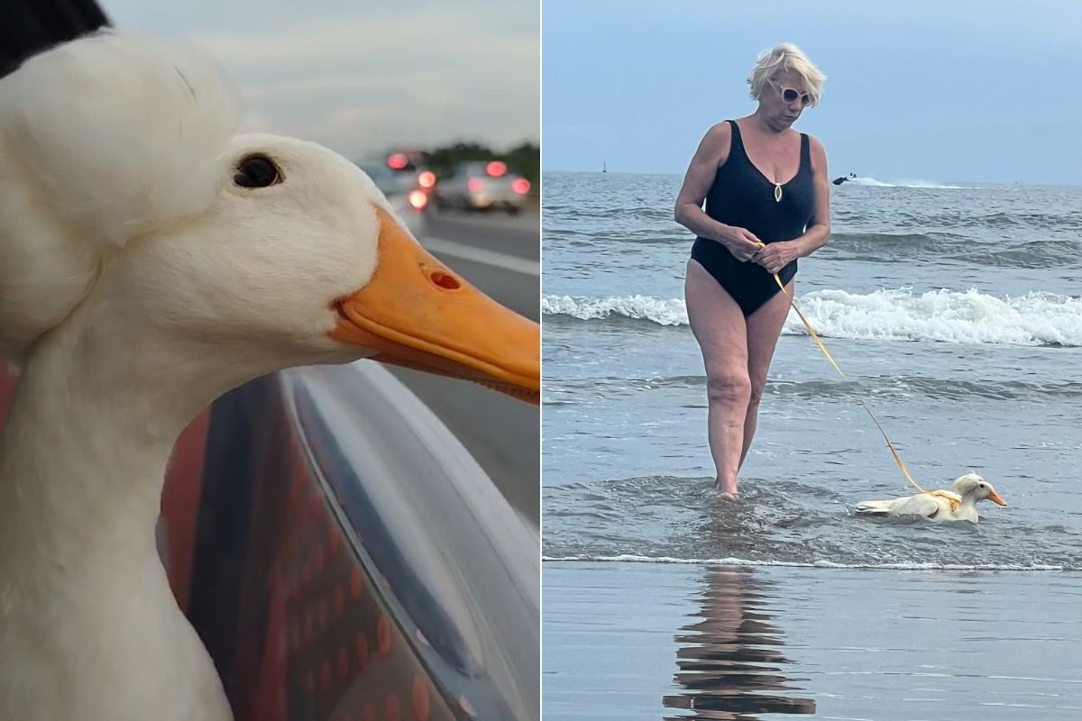 Você Não Tá Convidada pro Meu Bat Mitzvá!