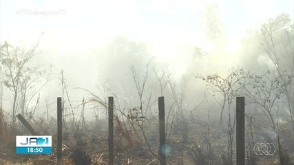 Queimada de grandes proporções mobiliza bombeiros em área verde no centro de Palmas