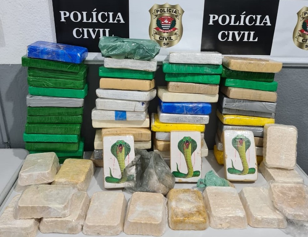Em 2021, a Polícia Civil apreendeu mais de 60 kg de drogas escondidas na mansão do médico, em Guarujá (SP)  — Foto: Divulgação/Polícia Civil