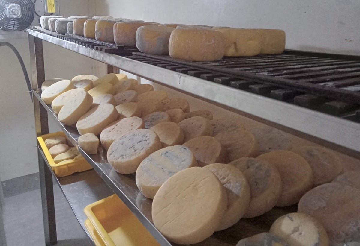 Região Serrana lança rota turística dedicada a queijos artesanais