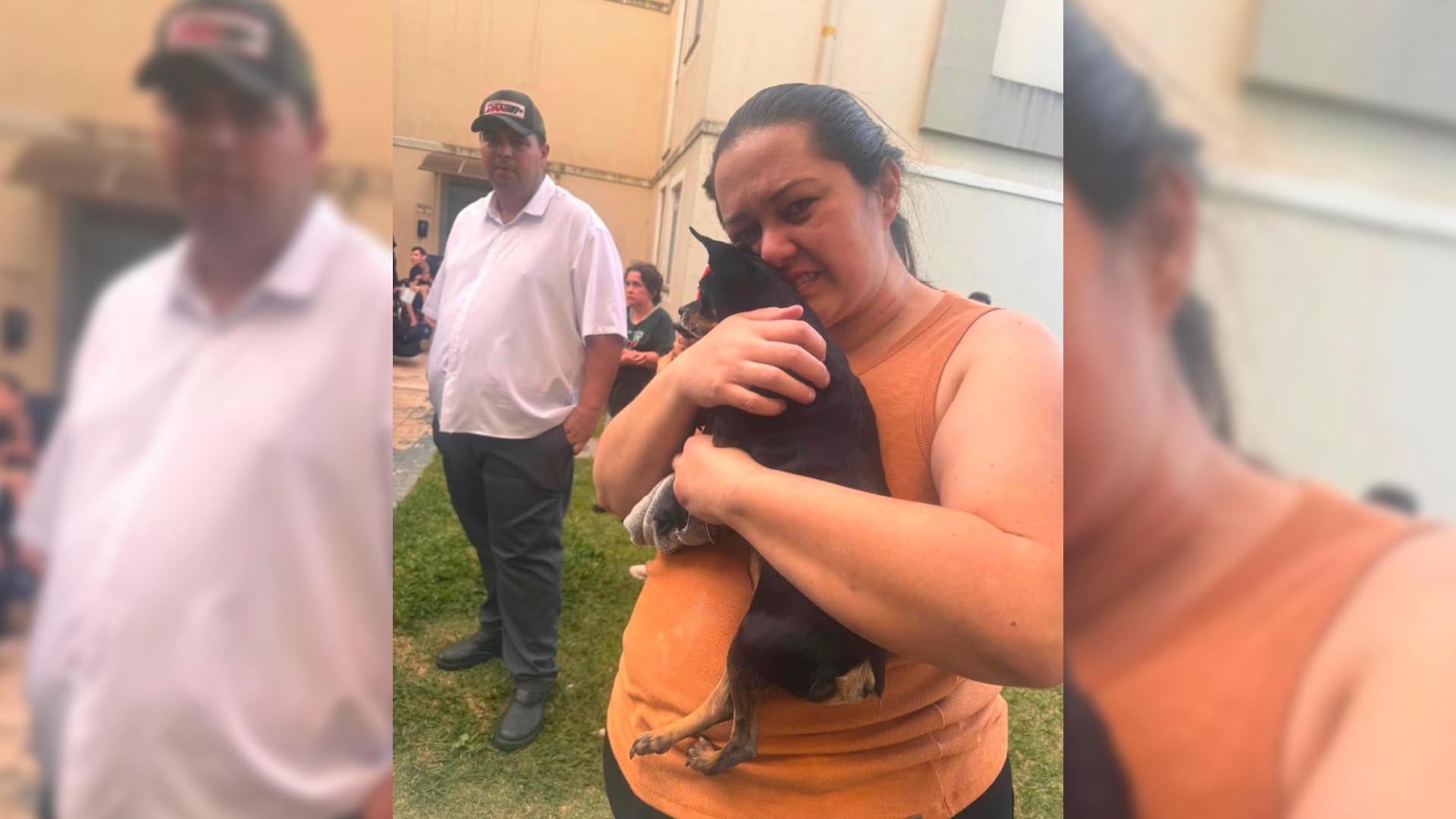 Incêndio atinge apartamento e cão é resgatado após se esconder debaixo de sofá em Botucatu