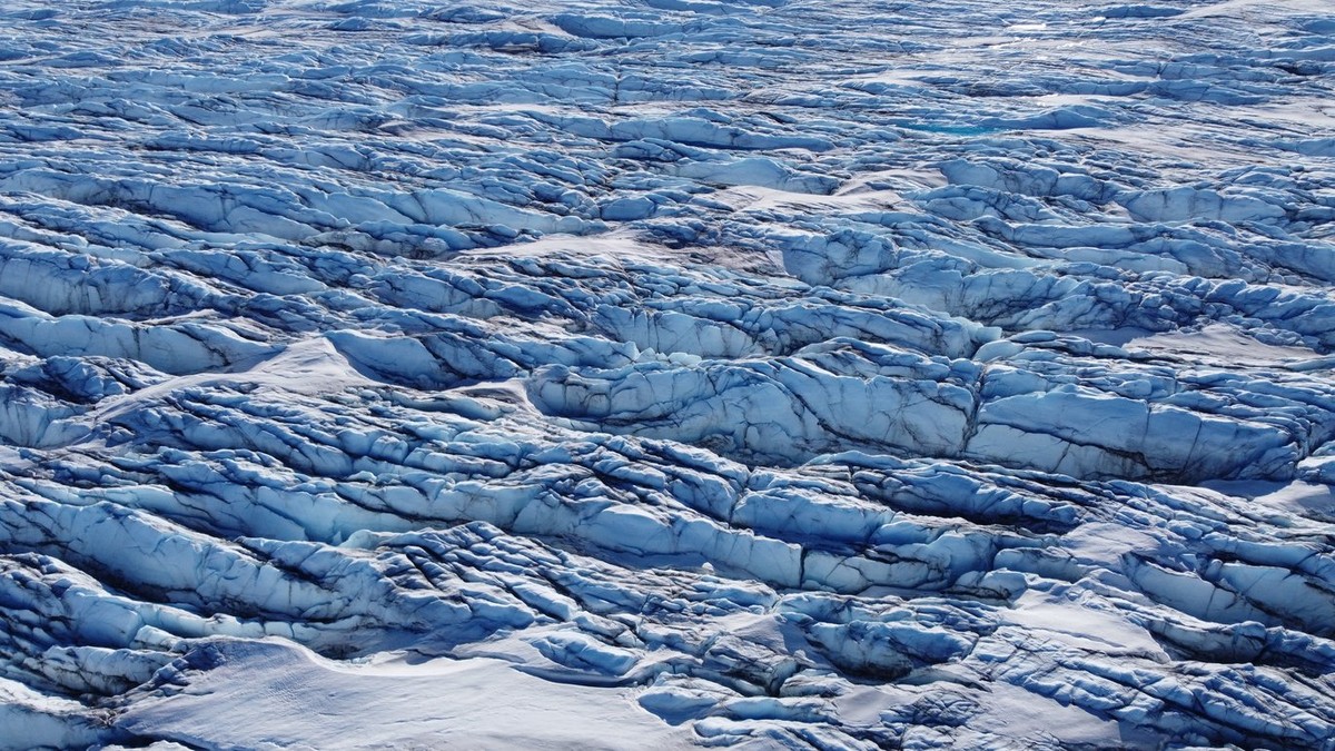 Researchers find giant viruses in Greenland's ice sheet for the first time |  Sciences