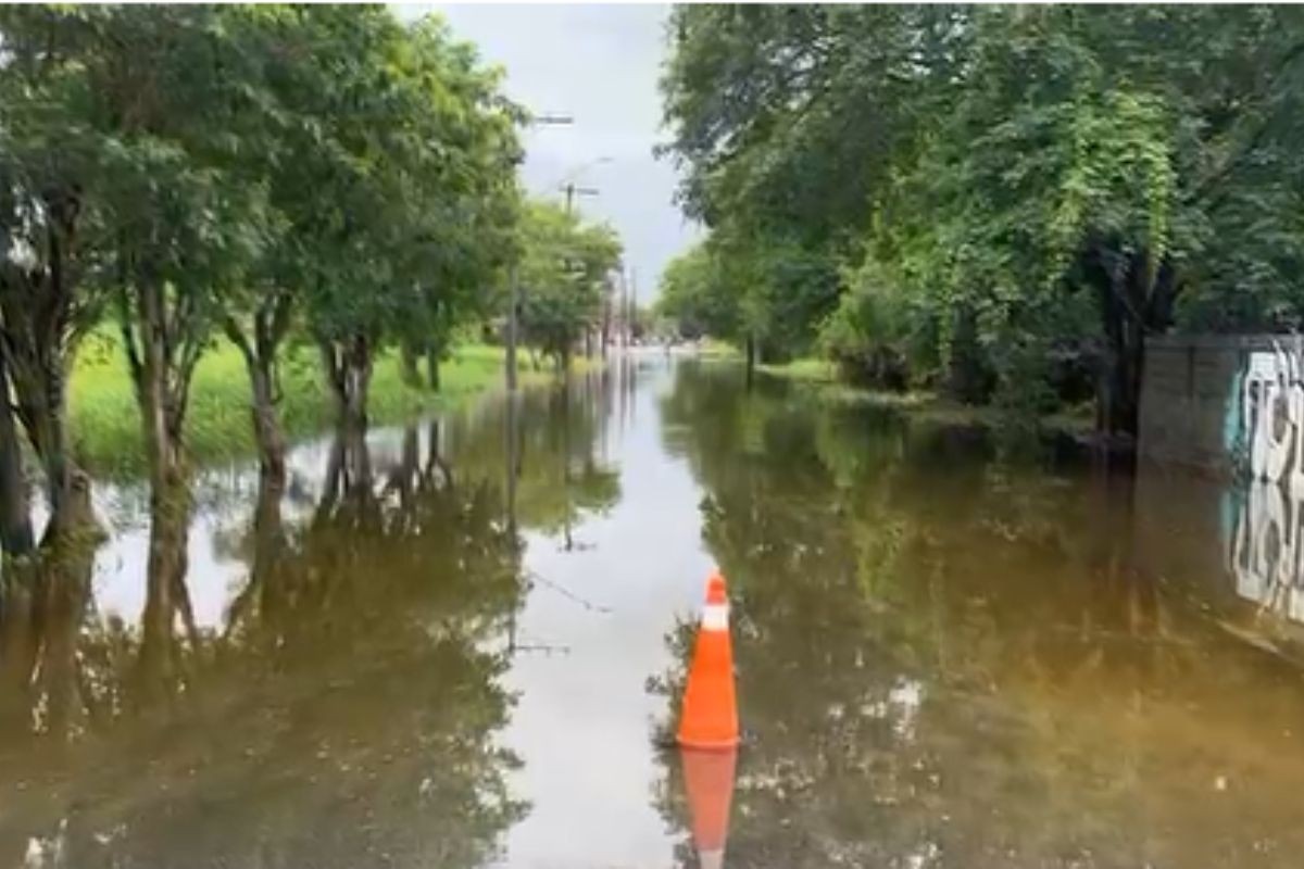 Debaixo d'água, Peruíbe registra quase 500 desalojados e usa botes para os resgates; alguns negam sair de casa