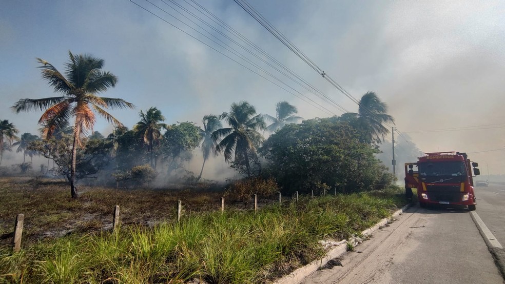 A fumaça tomou a pista no trecho do Trevo do Polo — Foto: Erik Maia/TV Gazeta