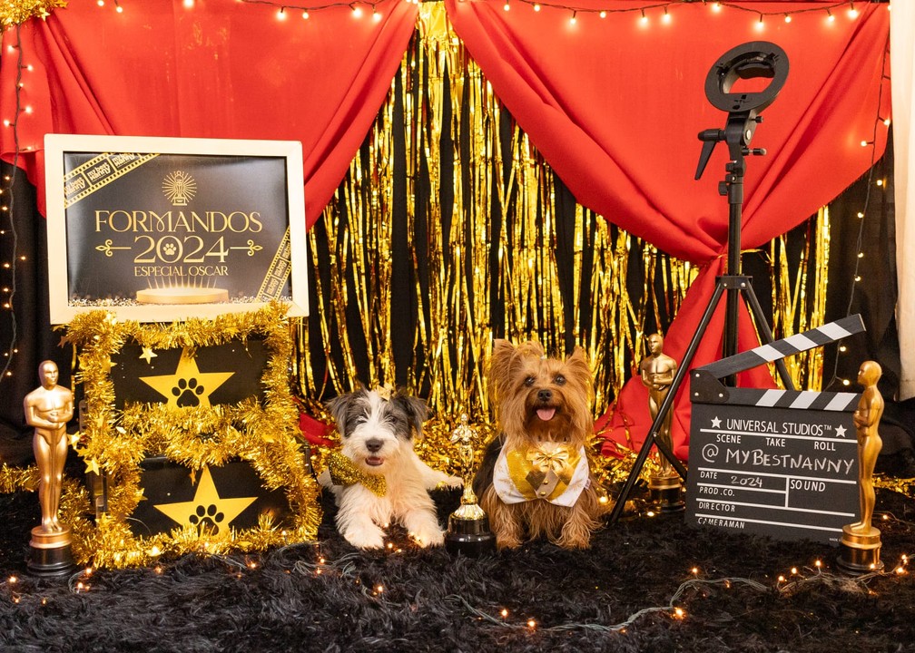 Cães participaram de ensaio de formatura — Foto: Amany Mourtada