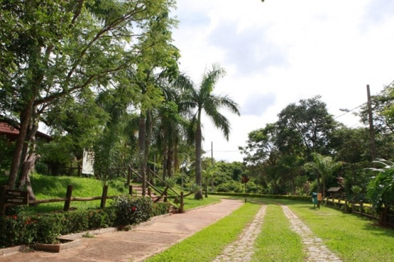 Museu, córregos e trilha: dicas para aproveitar Parque Victório Siquierolli em Uberlândia  