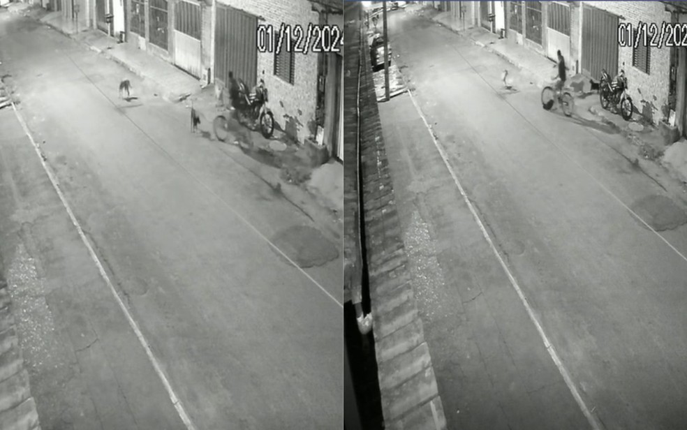 Câmera registra ciclista atropelando cachorro em Formosa, Goiás — Foto: Divulgação/Polícia Civil