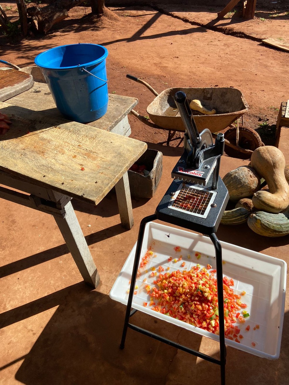 Os pacientes viviam sem alimentação adequada e não podiam comer carne  — Foto: Defensoria pública