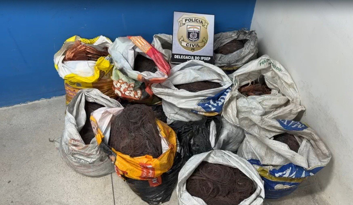 Motorista de caminhão é preso com 300 kg de fios de cobre roubados no Grande Recife