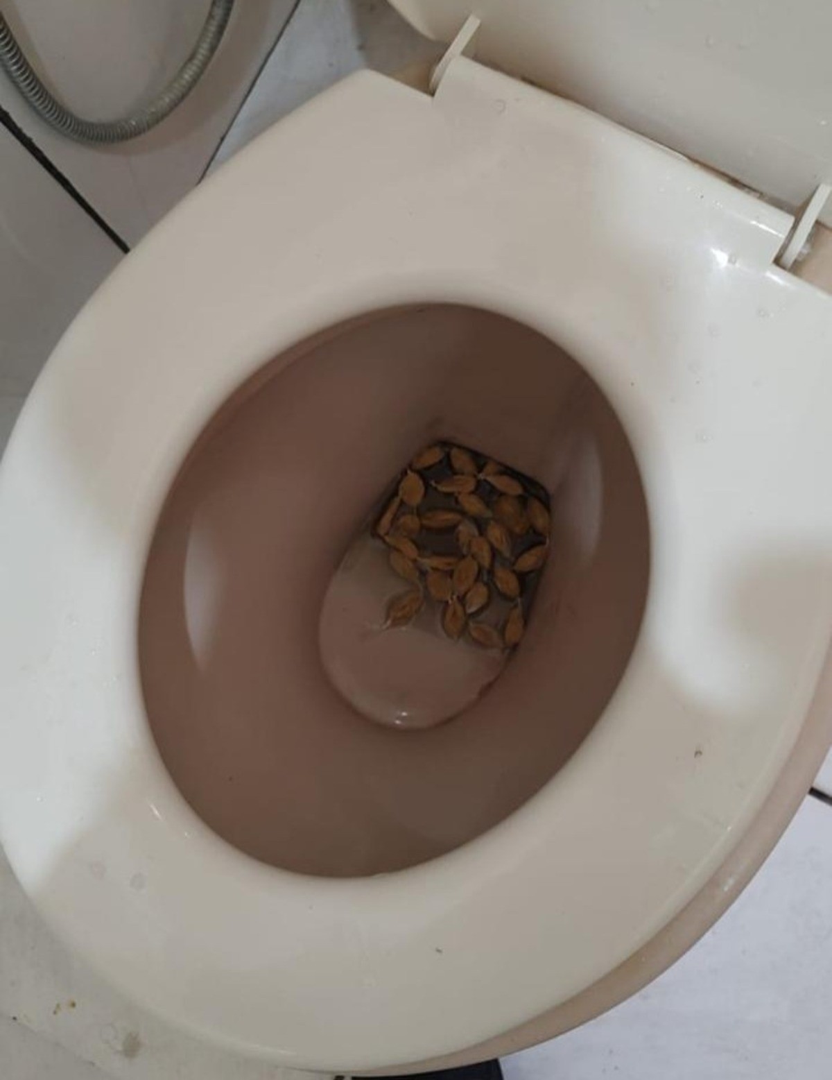 Você Não Tá Convidada pro Meu Bat Mitzvá!