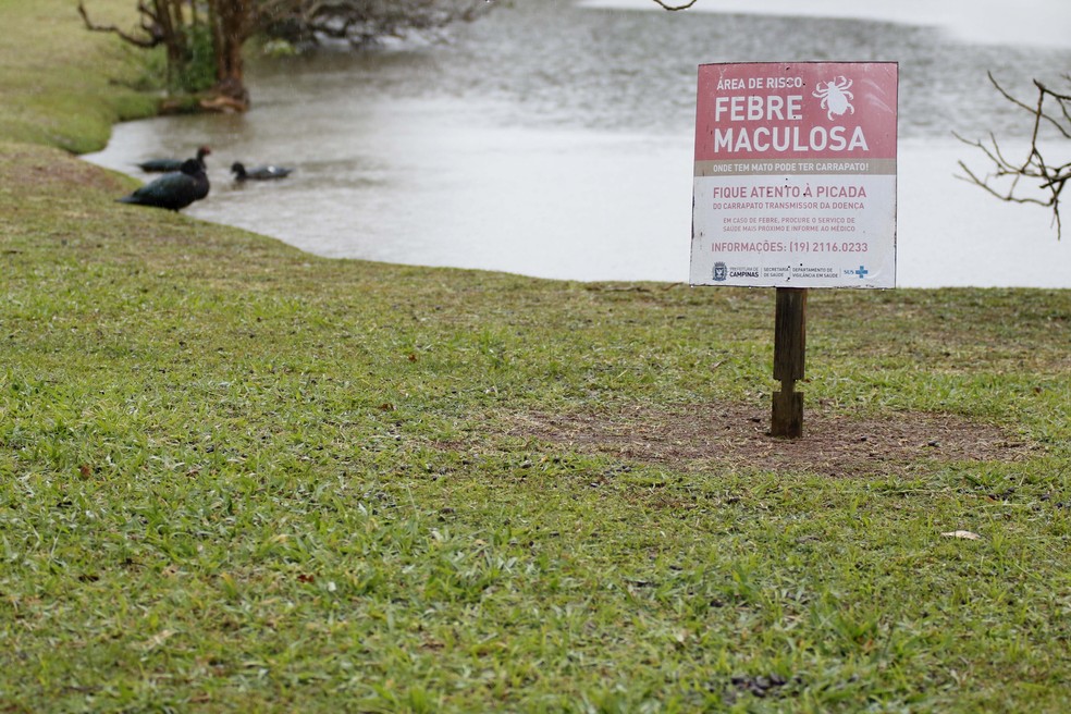 Campinas realizou um mapeamento sobre áreas de risco para febre maculosa na cidade. O levantamento foi realizado depois de três pessoas contraírem a doença na metrópole e morrerem no último dia 8 de junho. Uma adolescente de 16 anos morreu ontem na região também com suspeita da doença. O mapeamento realizado pela prefeitura aponta ao menos 12 áreas ou regiões com risco para febre maculosa. São elas: Lagoa do Taquaral, Lago do Café, Parque Ecológico, Parque das Águas; Parque Botânico, Lagoa do São Domingos, Lagoa do Mingone, Fazenda Chapadão, Ouro Verde, Joaquim Egídio, Sousas e Barão Geraldo. Ainda de acordo com a prefeitura, esses locais já registraram infecção pela febre maculosa. — Foto: DENNY CESARE/CÓDIGO19/ESTADÃO CONTEÚDO