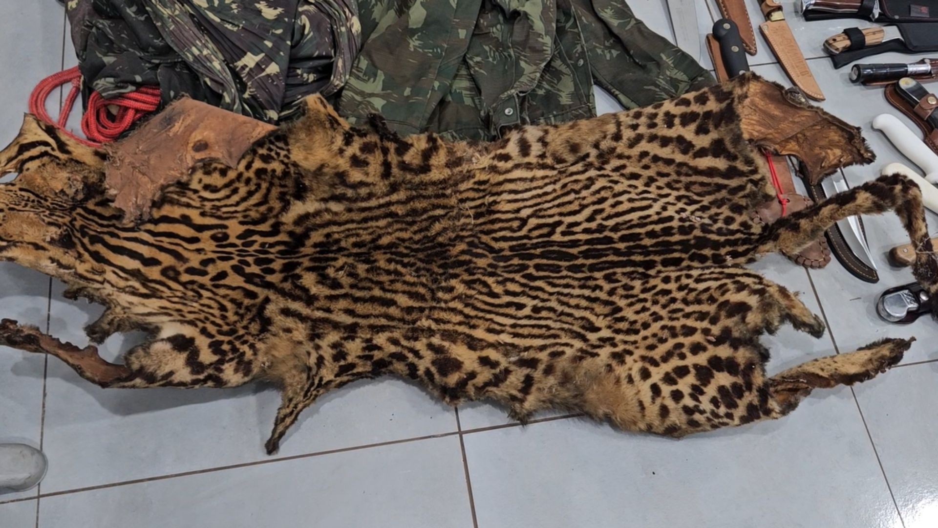 Couro de onça, fuzil de elite e armas estrangeiras estão entre itens encontrados em arsenal ilegal