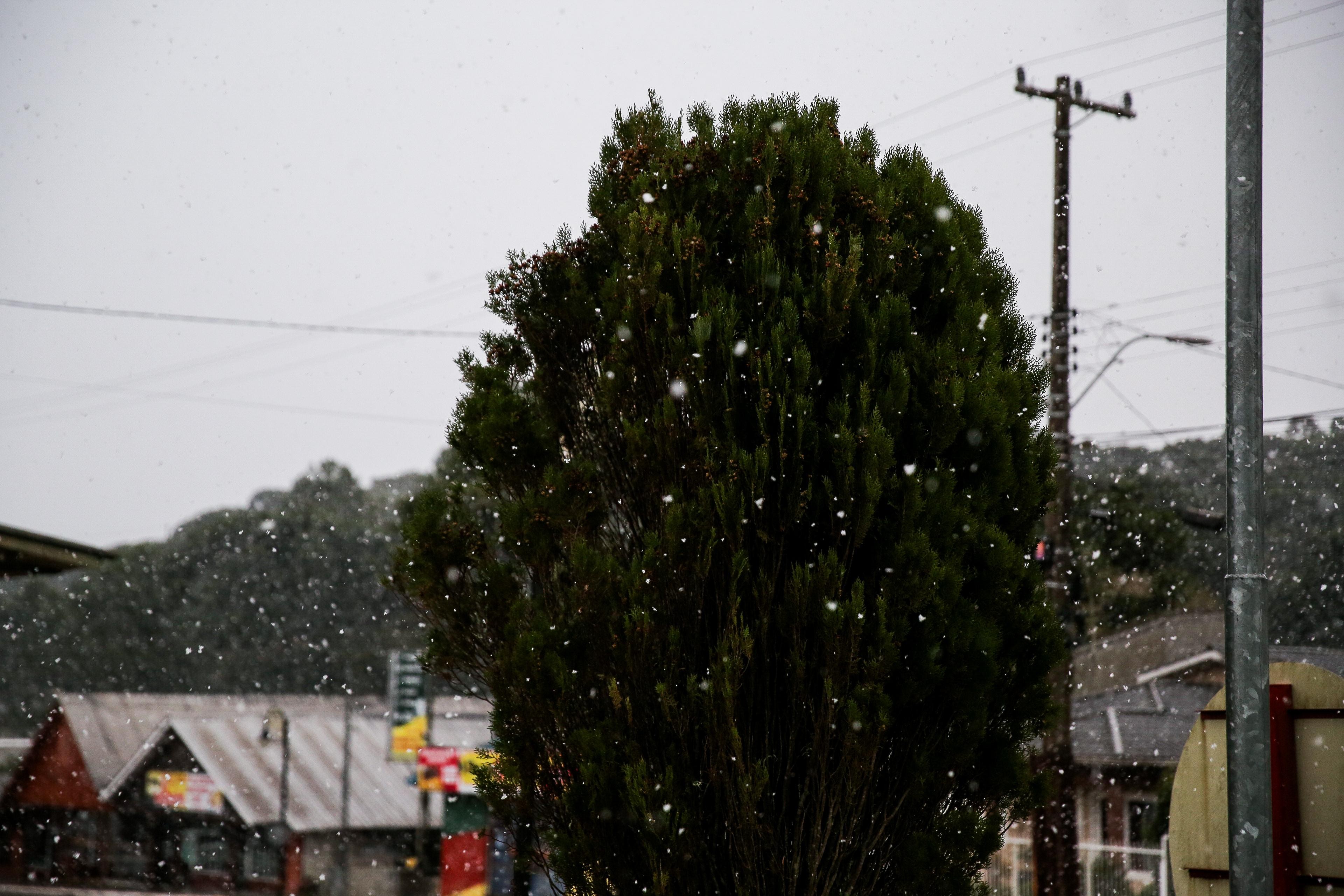 Tem chance de mais neve no RS? Veja previsão do tempo para esta sexta no estado