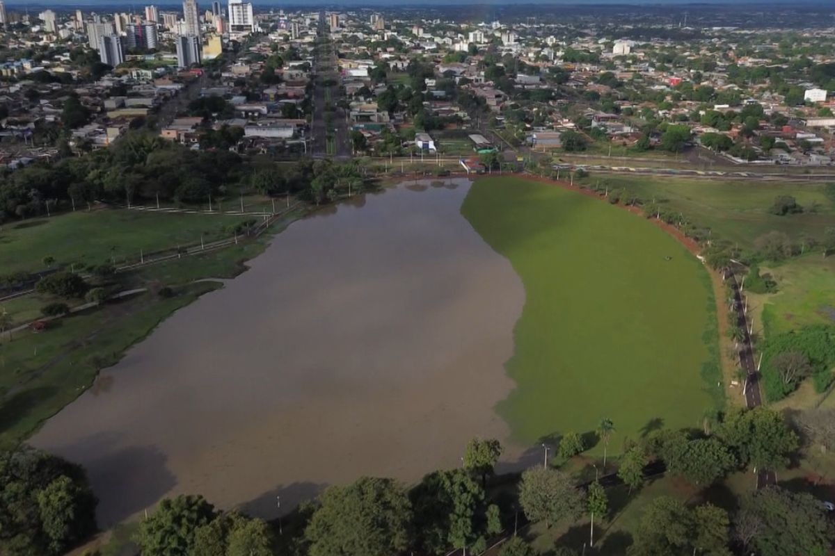 Tapete de plantas aquáticas muda paisagem de lagos em cidade de MS