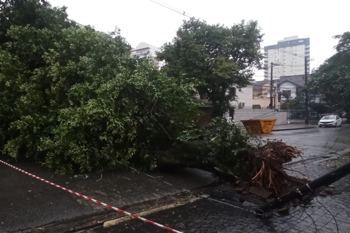 Santos registra 74% da chuva de junho em apenas um dia; morros estão em atenção